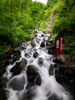 蝙蝠侠：阿甘之城