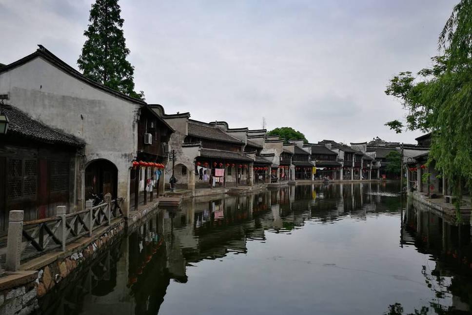 破碎的动物图形2